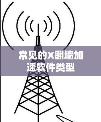 常见的X翻墙加速软件类型 常见的X翻墙加速软件类型