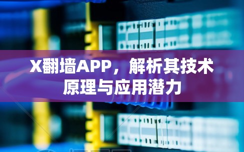 X翻墙APP,解析其技术原理与应用潜力 X翻墙APP,解析其技术原理与应用潜力