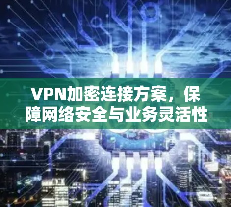 VPN加密连接方案,保障网络安全与业务灵活性 VPN加密连接方案,保障网络安全与业务灵活性