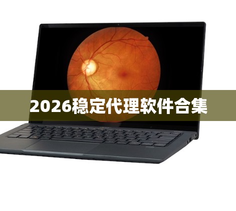 2026稳定代理软件合集 2026稳定代理软件合集