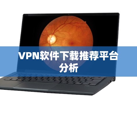 VPN软件下载推荐平台分析 VPN软件下载推荐平台分析