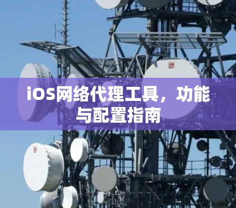 iOS网络代理工具,功能与配置指南 iOS网络代理工具,功能与配置指南