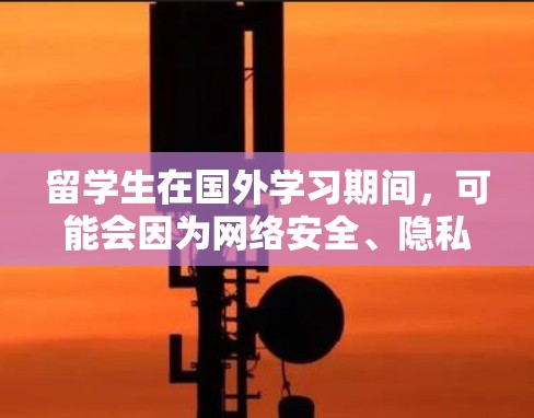 留学生在国外学习期间，可能会因为网络安全、隐私保护或访问国内资源等需求，需要使用VPN服务。以下是关于如何下载和安装VPN的一些步骤和建议
