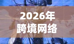 2026年跨境网络工具的目录可以分为五个主要类别，每个类别下细分为具体的子项，每个子项简要说明其功能和优势。以下是详细的分类