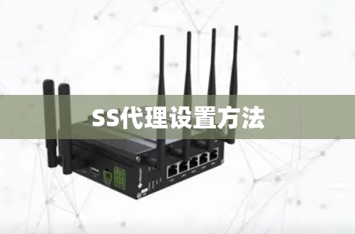 SS代理设置方法 SS代理设置方法