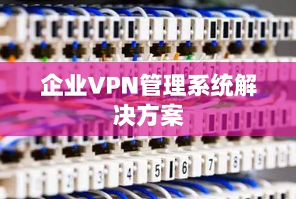 企业VPN管理系统解决方案 企业VPN管理系统解决方案