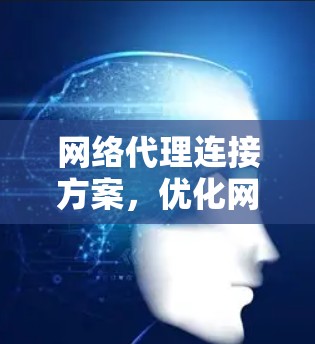 网络代理连接方案,优化网络性能与安全防护