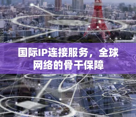 国际IP连接服务,全球网络的骨干保障