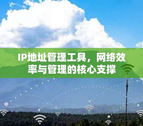 IP地址管理工具,网络效率与管理的核心支撑