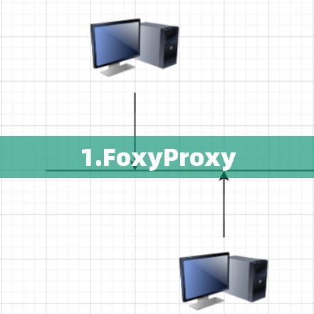 1.FoxyProxy