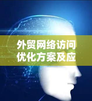 外贸网络访问优化方案及应用探讨