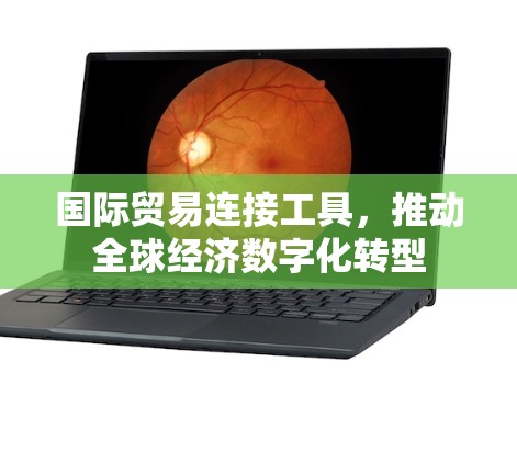 国际贸易连接工具,推动全球经济数字化转型