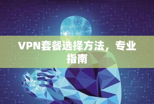 VPN套餐选择方法,专业指南