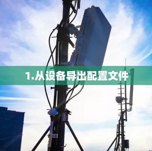 1.从设备导出配置文件