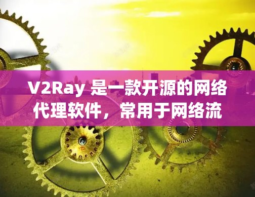 V2Ray 是一款开源的网络代理软件,常用于网络流量代理、防追踪、访问限制绕过等场景。以下是 V2Ray 的下载和安装指南
