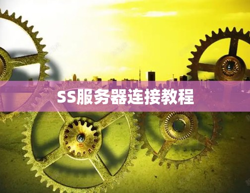 SS服务器连接教程 SS服务器连接教程