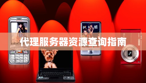 代理服务器资源查询指南