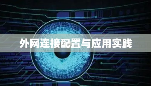 外网连接配置与应用实践