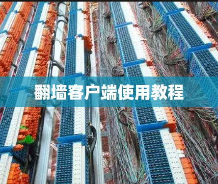 翻墙客户端使用教程