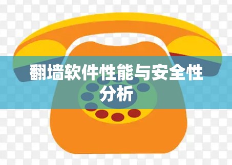 翻墙软件性能与安全性分析