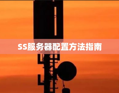 SS服务器配置方法指南