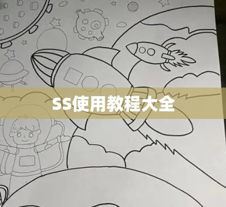 SS使用教程大全