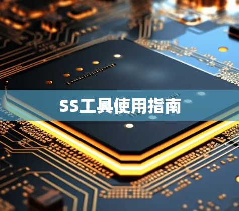 SS工具使用指南 SS工具使用指南
