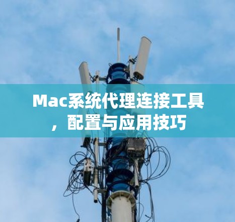 Mac系统代理连接工具，配置与应用技巧