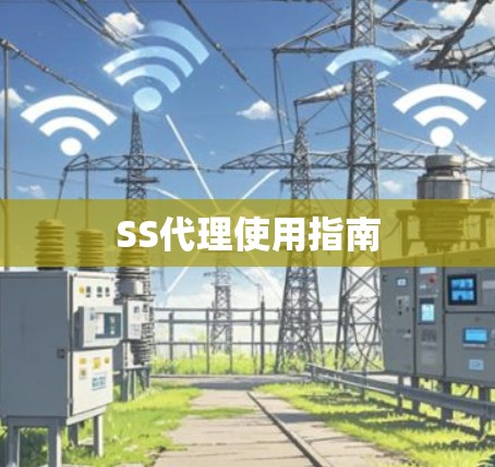 SS代理使用指南 SS代理使用指南