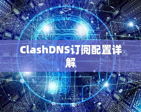 ClashDNS订阅配置详解 ClashDNS订阅配置详解