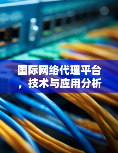 国际网络代理平台,技术与应用分析