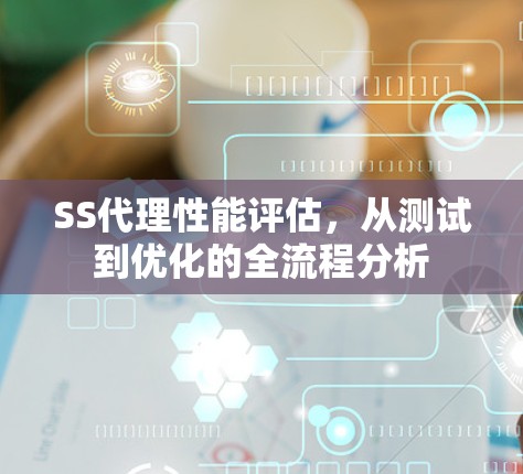 SS代理性能评估,从测试到优化的全流程分析 SS代理性能评估,从测试到优化的全流程分析