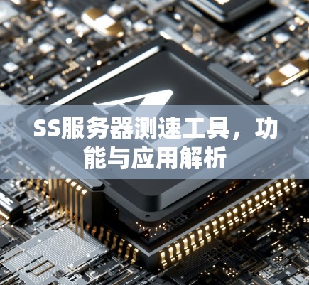 SS服务器测速工具，功能与应用解析