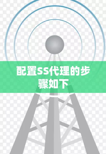 配置SS代理的步骤如下 配置SS代理的步骤如下