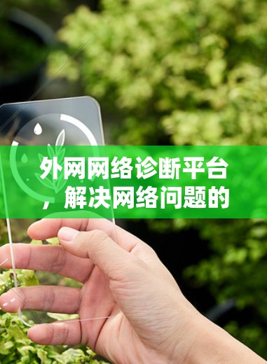 外网网络诊断平台,解决网络问题的高效解决方案 外网网络诊断平台,解决网络问题的高效解决方案