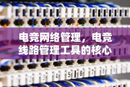 电竞网络管理,电竞线路管理工具的核心作用