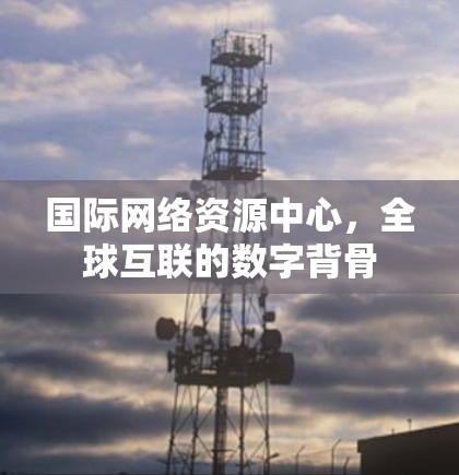 国际网络资源中心,全球互联的数字背骨 国际网络资源中心,全球互联的数字背骨