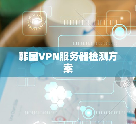 韩国VPN服务器检测方案 韩国VPN服务器检测方案