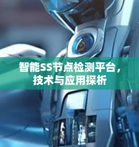 智能SS节点检测平台,技术与应用探析 智能SS节点检测平台,技术与应用探析