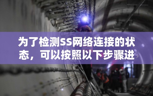 为了检测SS网络连接的状态，可以按照以下步骤进行