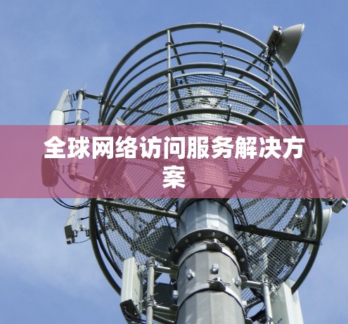 全球网络访问服务解决方案 全球网络访问服务解决方案
