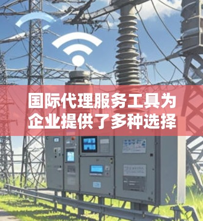 国际代理服务工具为企业提供了多种选择，帮助其在国际市场中高效运营。以下是对这些工具的详细分析和建议