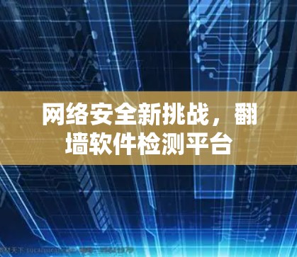 网络安全新挑战，翻墙软件检测平台
