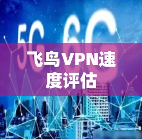 飞鸟VPN速度评估 飞鸟VPN速度评估