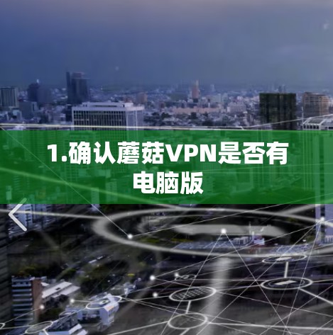 1.确认蘑菇VPN是否有电脑版