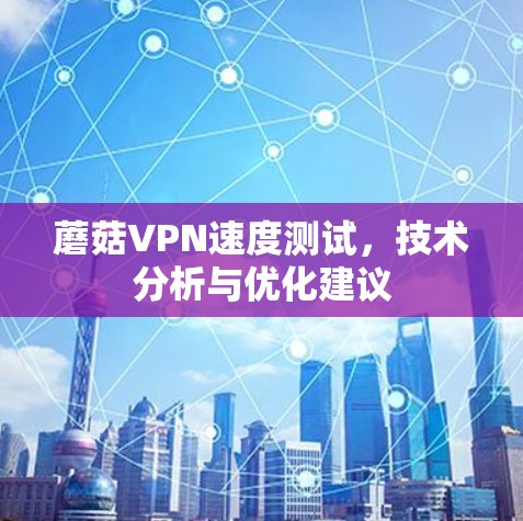 蘑菇VPN速度测试，技术分析与优化建议