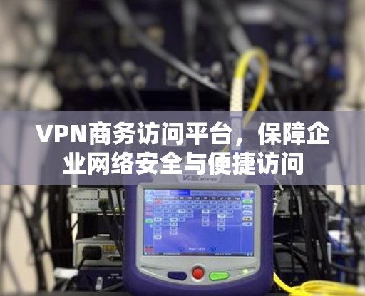 VPN商务访问平台，保障企业网络安全与便捷访问