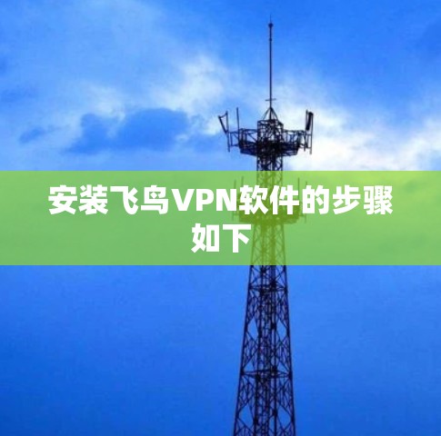 安装飞鸟VPN软件的步骤如下