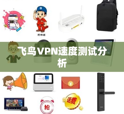 飞鸟VPN速度测试分析 飞鸟VPN速度测试分析