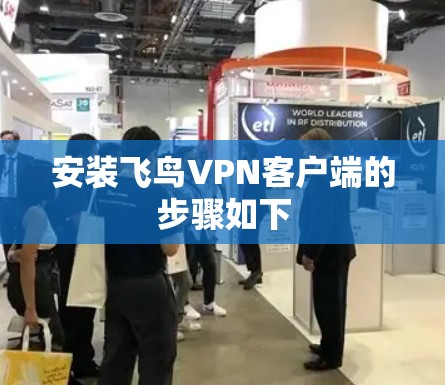 安装飞鸟VPN客户端的步骤如下